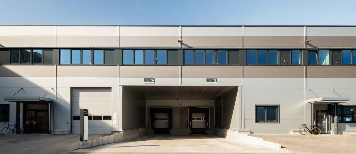 Aurelis © Thomas Nutt