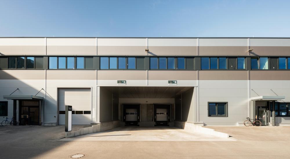 Aurelis © Thomas Nutt